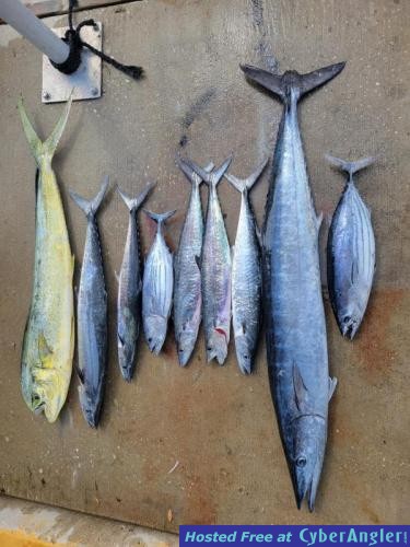 Click to Enlarge Photo