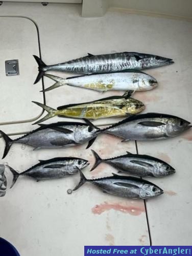 Click to Enlarge Photo