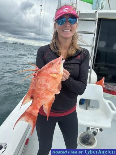 Click to Enlarge Photo