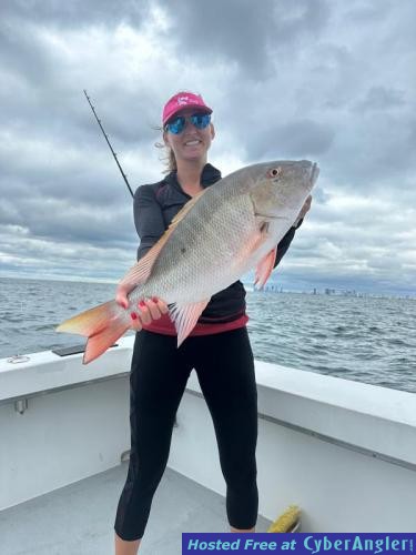 Click to Enlarge Photo