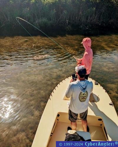 Click to Enlarge Photo