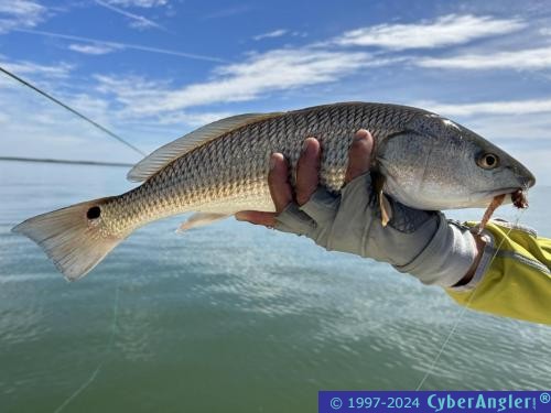 Click to Enlarge Photo