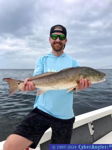 Click to Enlarge Photo