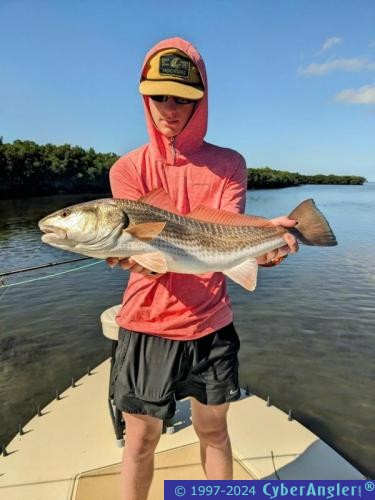 Click to Enlarge Photo