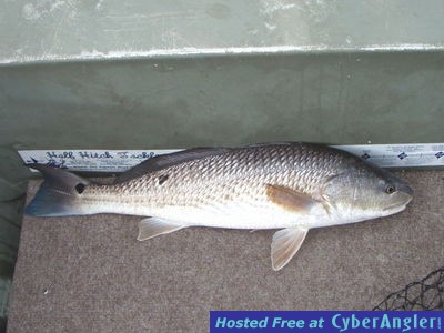 Click to Enlarge Photo