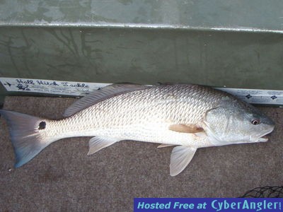 Click to Enlarge Photo