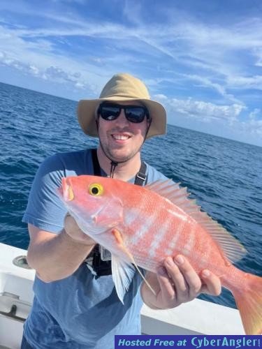 Click to Enlarge Photo