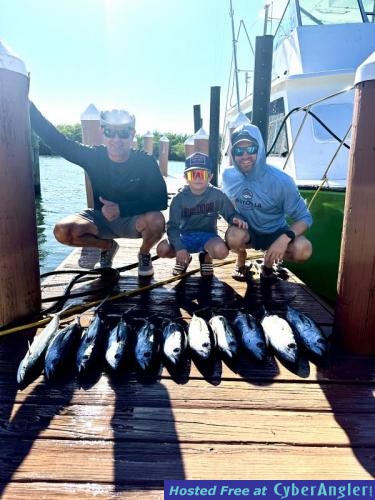 Click to Enlarge Photo