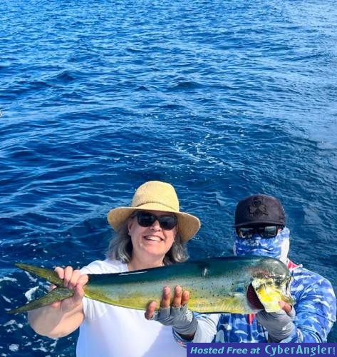 Click to Enlarge Photo