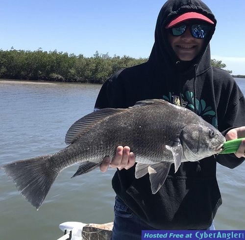 Click to Enlarge Photo