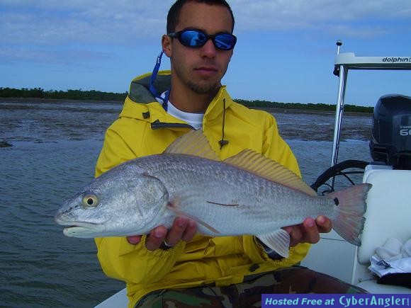 Click to Enlarge Photo