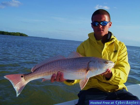 Click to Enlarge Photo