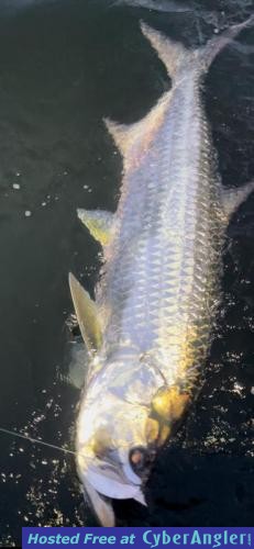 Click to Enlarge Photo