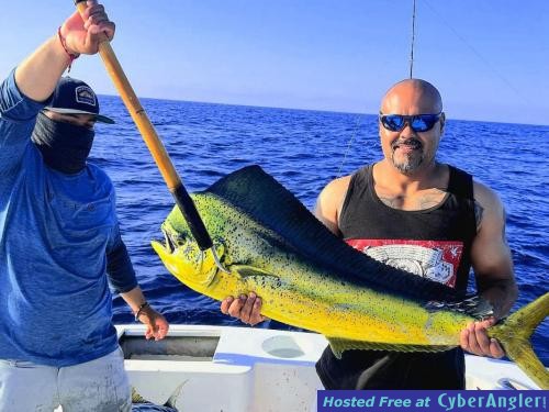 Click to Enlarge Photo