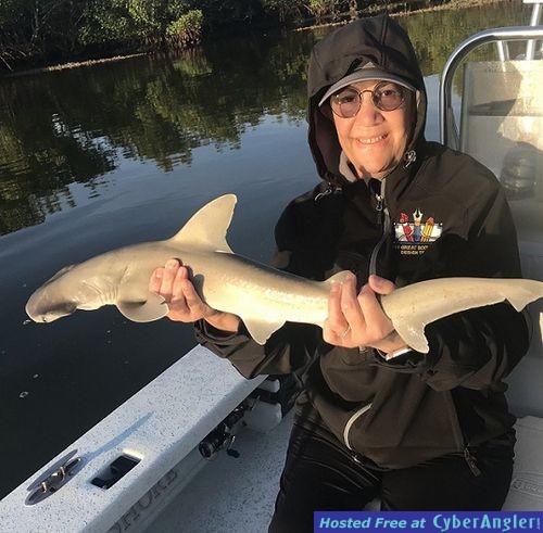 Click to Enlarge Photo