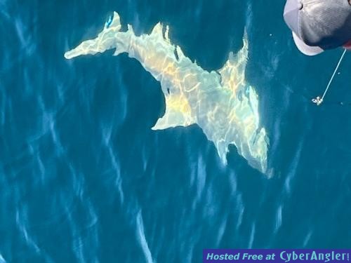 Click to Enlarge Photo