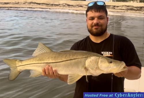 Click to Enlarge Photo