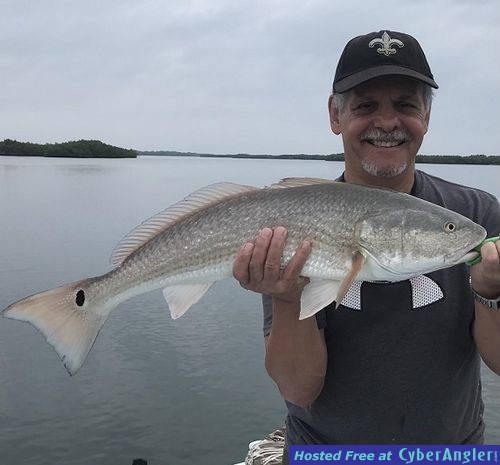 Click to Enlarge Photo