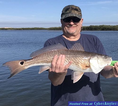 Click to Enlarge Photo