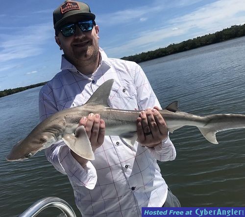 Click to Enlarge Photo