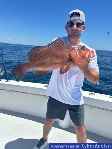 Click to Enlarge Photo