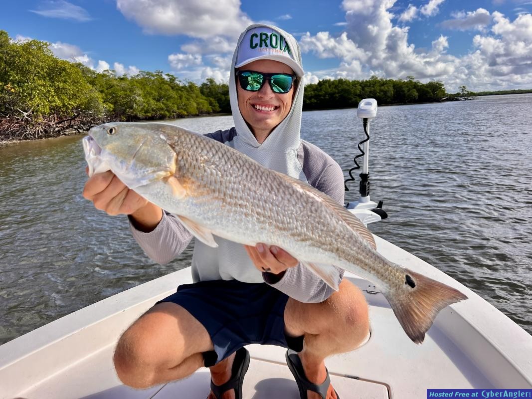 Click to Enlarge Photo