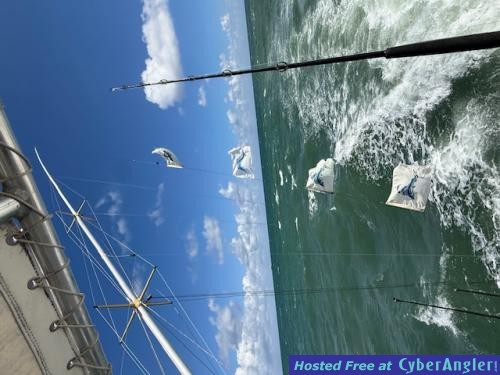 Click to Enlarge Photo