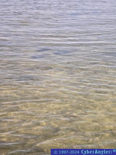 Click to Enlarge Photo