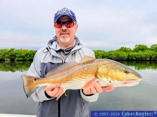 Click to Enlarge Photo