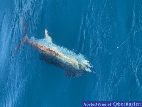 Click to Enlarge Photo