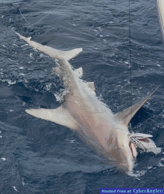 Click to Enlarge Photo
