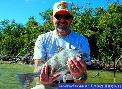 Click to Enlarge Photo