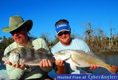 Click to Enlarge Photo