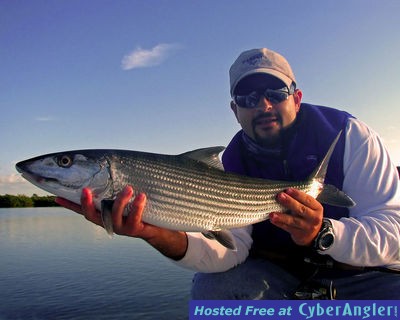 Click to Enlarge Photo