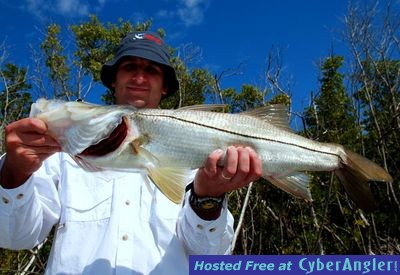 Click to Enlarge Photo