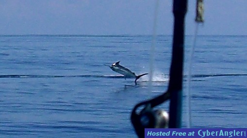 Click to Enlarge Photo