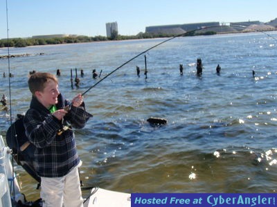 Click to Enlarge Photo