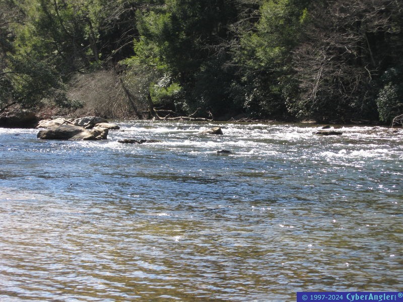 Click to Enlarge Photo