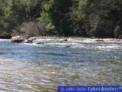 Click to Enlarge Photo