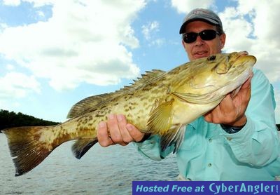 Click to Enlarge Photo