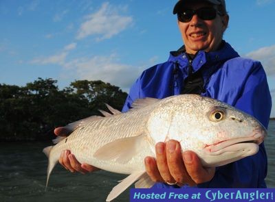 Click to Enlarge Photo