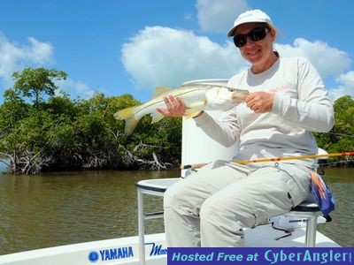 Click to Enlarge Photo