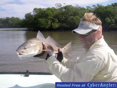 Click to Enlarge Photo