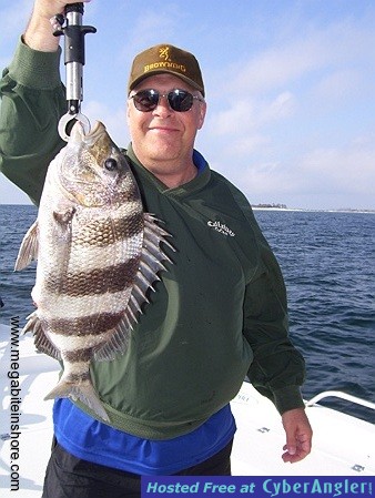 Click to Enlarge Photo