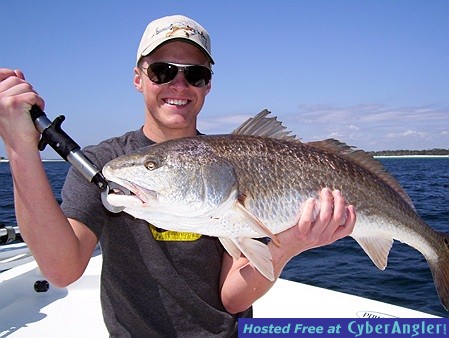 Click to Enlarge Photo