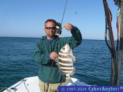Click to Enlarge Photo