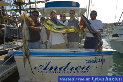 Click to Enlarge Photo