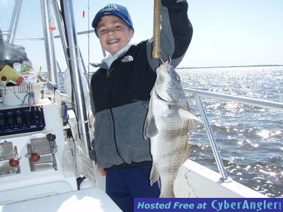 Click to Enlarge Photo