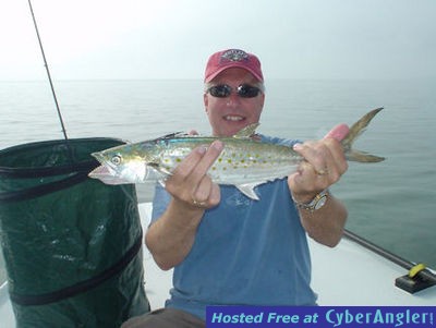 Click to Enlarge Photo