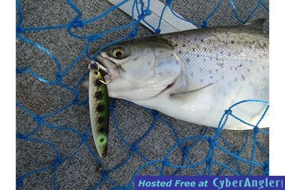 Click to Enlarge Photo